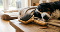 Premium Pet Grooming Brush ⭐